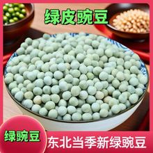 ���x���㶹�G�㶹�����㶹�r�����㶹�lѿ��ѿ��˷N����������