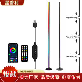 跨境热销简约幻彩双白光落地灯rgbic音乐节奏即插即亮照明氛围灯