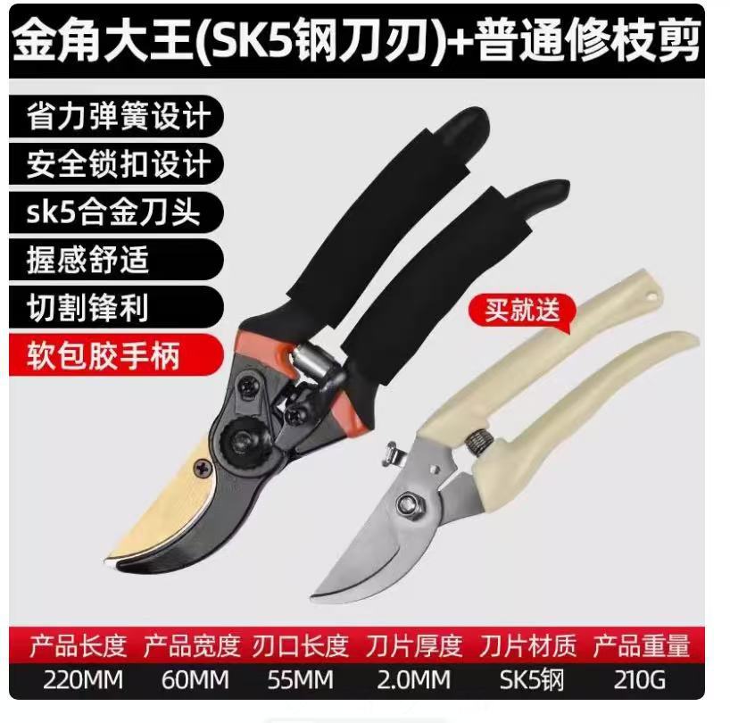 Tijeras de podar, tijeras de jardinería, tijeras de cuchillo, tijeras especiales para ramas, tijeras de jardín, tijeras de corte de flores de poda de árboles frutales