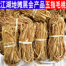 五指毛桃批发各种规格五指毛桃量大从优质量保证五指毛桃段