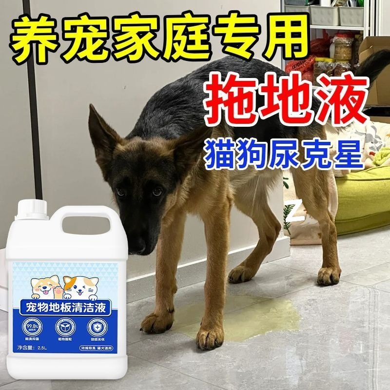 Limpieza de pisos domésticos para mascotas desodorizante desodorizante antibacteriano desodorizante interior desodorizante de orina para perros y gatos image 6