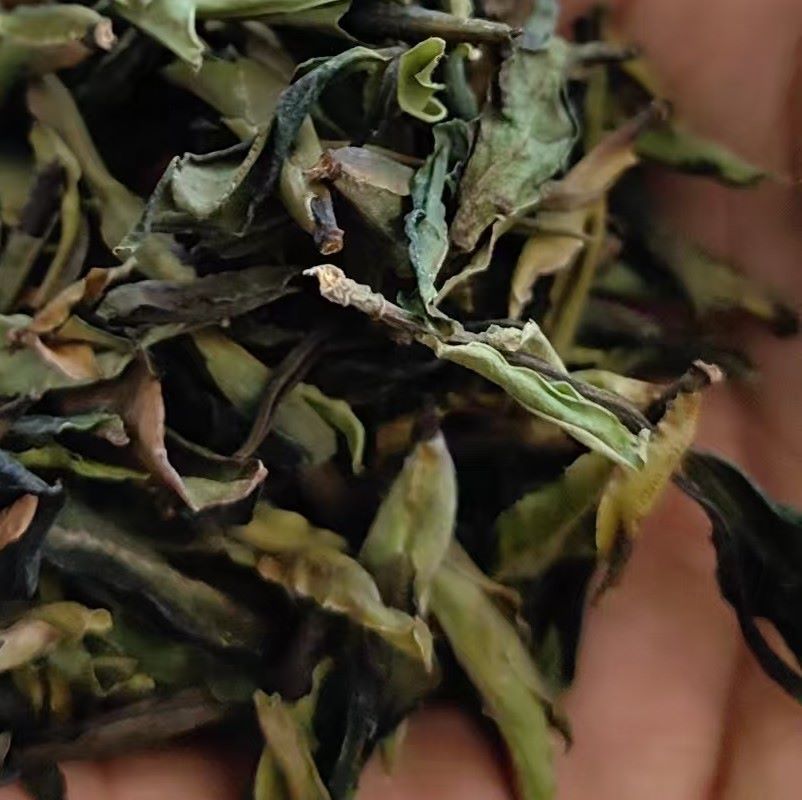 야생 작은 흰색 차 20g