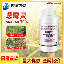 �������� 30%��ù�`�fù�`����������ή�����ݲ������rș������