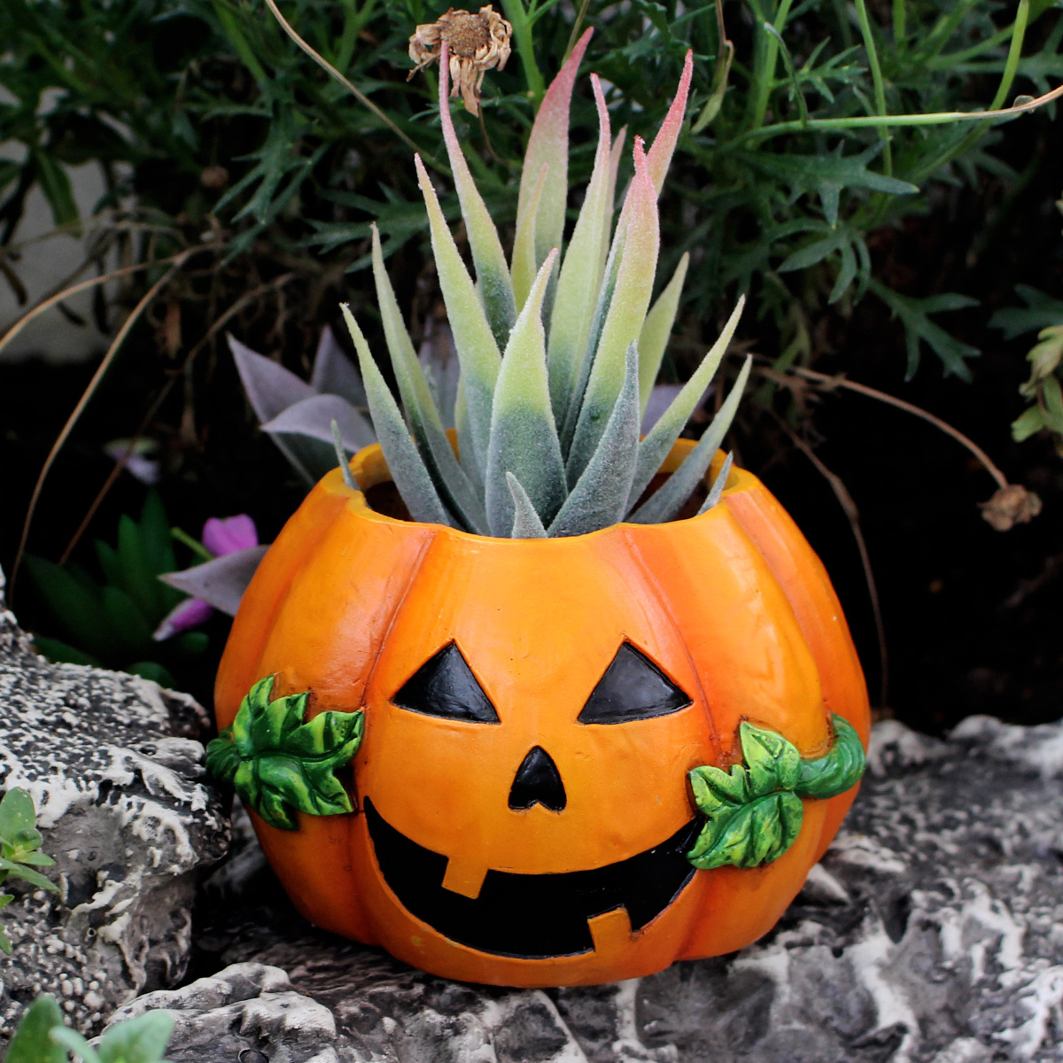  Halloween Pumpkin Flower Pot Ghost Festival Decoration Ornaments Flower Pot Home Office Desktop Small Flower Pot Holiday Ceremony