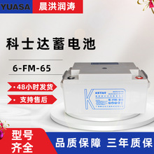 ʿ_늳6-FM-65USo늳12V65AHUPS EPSֱ늳