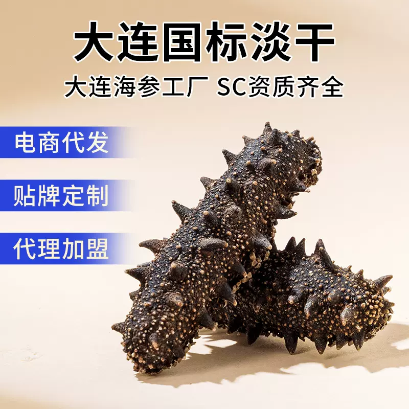 厂家批发大连国标纯淡干海参50G海参干货250G大连海参干海参