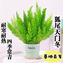 ��β���T�������҃�ͥԺ���@�̨�Gֲ�ļ������͟��ͺ����ܾ�β��