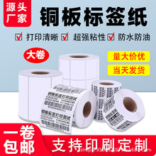 �~�漈�����z405060708090100�l�a����羳�����˺������Dӡ����
