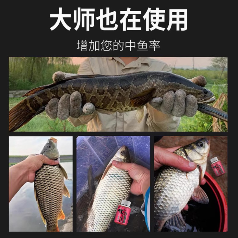 Aditivo de señuelo abierto para tilapia verde de Guodao Xianglai rápido pozo negro lago pescar medicina pequeña