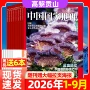 中国订阅全年杂志