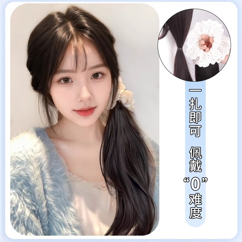 Peruca de trenza, cola de caballo