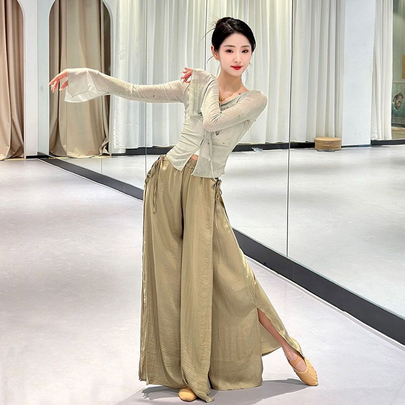 古典舞蹈服女飘逸阔腿裤现代舞成人演出服专业中国民族舞练功裤子