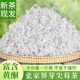 Berry Tea Zhangjiajie Grade Wild Dragon Bearberry Tea Sprout Tip Hunan Zhangjiajie Mold Tea 2024 New Tea Rattan Tea Free Shipping