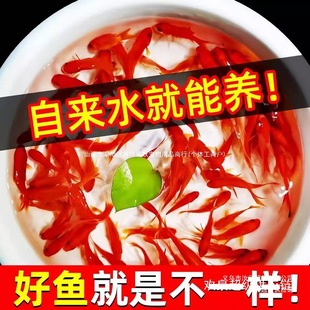 ���N�Pβ��t�ݽ��~С�\����ˮ�^�p�~����B�ͻ��ԁ�ˮ��ˮ���S��