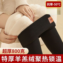 冬季羊羔绒保暖裤加厚加绒不起球打底裤外穿防寒高腰妈妈棉裤女士