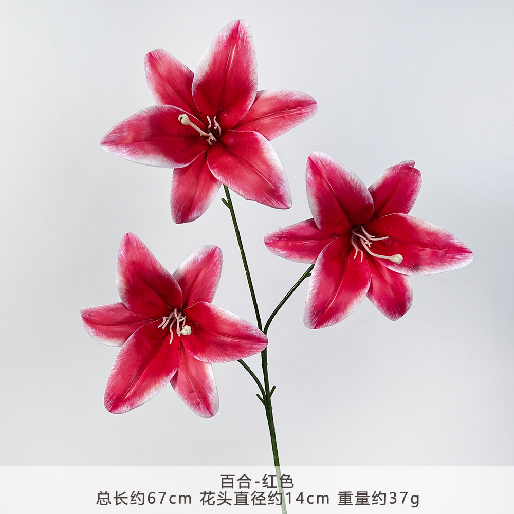 Ym2-lily-red