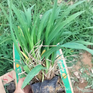 ������������޸��ر����������ͺ�����ͥԺ���a�ļ�·߅�G��ֲ��