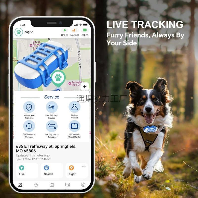 Esim Pet Location Tracker IPx7 Водонепроницаемый глобальный GPS в реальном времени Поддержка местоположения собаки против потери