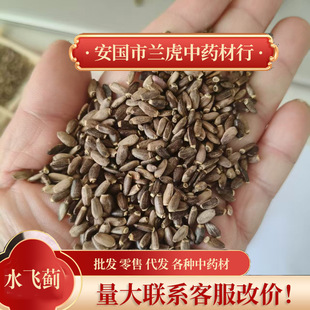 ˮ�w�E ˮ�w�����E����{��ș�ģ����]����ĥ�� ����ă�