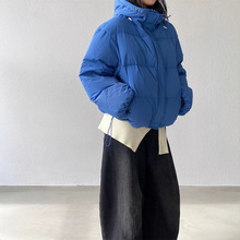 2025�����¿����㼑��L�Bñ��q��Ů��ܽ����������q��ů����