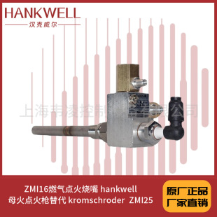 ZMI16ȼ���c����� hankwellĸ���c����� kromschroder  ZMI25