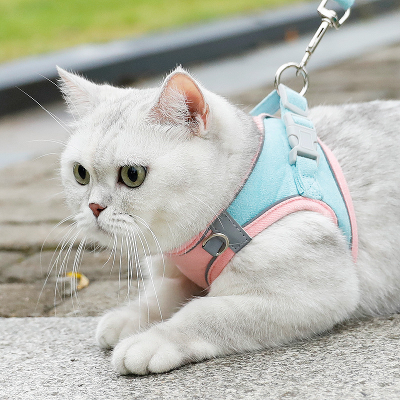 Cross-Border Pet Harness for Small Dogs, Vest-Style Dog Leash, Cat Supplies, Anti-Escape