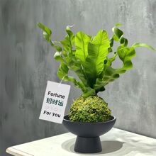 �͏d�k���҃�ϲ����Է�ݗ��Gֲ�����՚⻨���������F��ާ���e�L