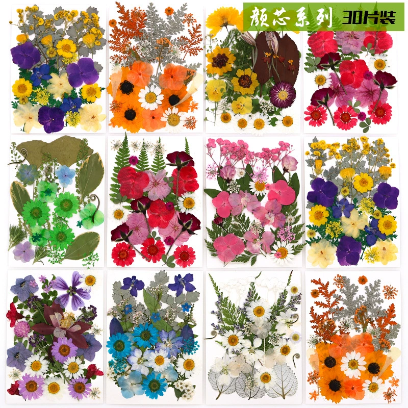 Новые сушеные цветы, тисненные материалы, ручные книги серии, образцы растений, капельница, фоторамка, сопровождающие цветы, украшения ручной работы, настоящие цветы