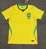 2627Brazil Home