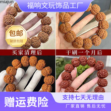 �Ჴ���������M������������ԭ�Ѻ���������ʿ�ִ�Ů����