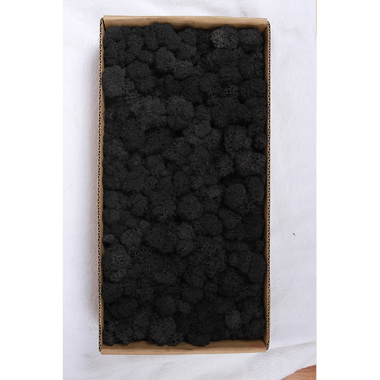 Musgo eterno ciervo musgo planta pared paisaje musgo ventana interior decoración micro paisaje eterna flor musgo