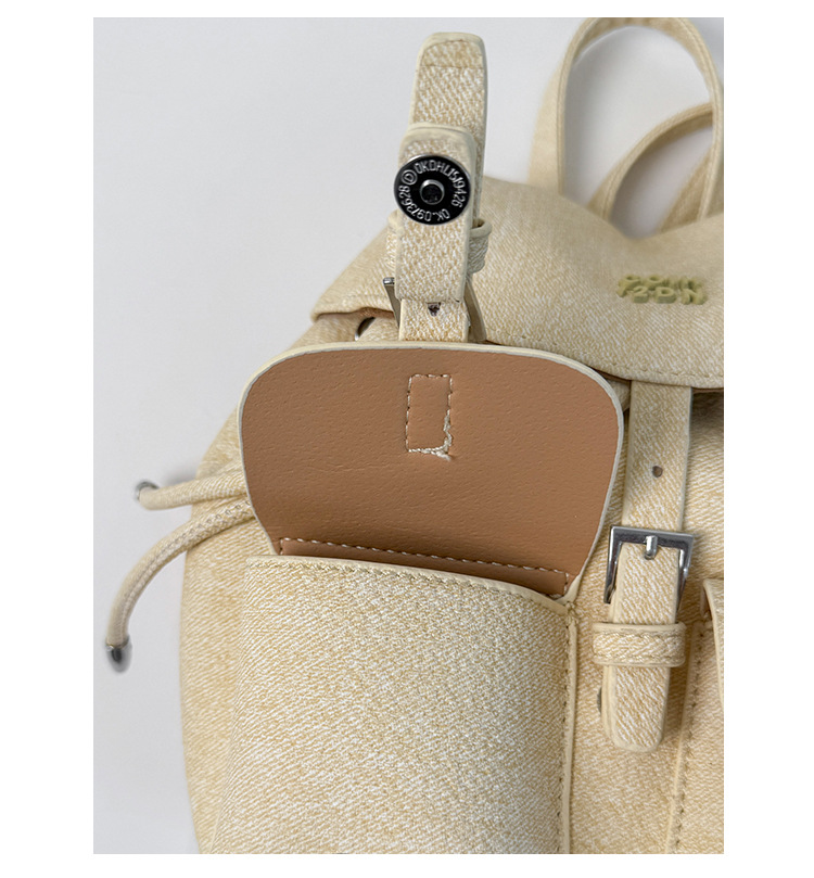 "College Style 2025 New Korean-style stylish mini Backpack, double pockets, lid style backpack, casual travel bag. undefined