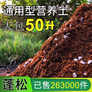 50���������ͥ�@ˇ����ͨ���Ͷ���N���N�˾G�}���Nֲ�����๤