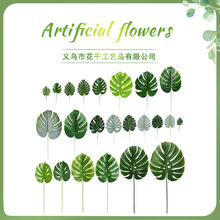 ���������~ �羳؛Դ�Gֲ���lֲ�������~�Ҿ��b���������