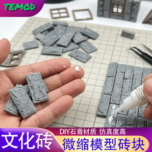 TEMODɳ�P���B΢�s�����Ļ�ʯģ��ʯ������u�K΢���^����u��