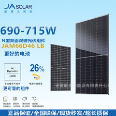 JA ソーラー/Jing'ao 太陽光発電モジュール N タイプ ダブルガラス JAM66D48LB690-715W 太陽光発電パネル