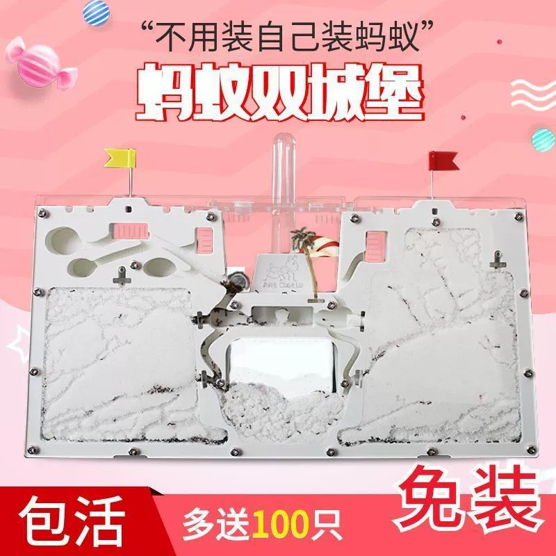 Двойной замок муравьев, очень большая мастерская муравьев, научный эксперимент, учебные пособия, экологическая коробка, муравьиное гнездо, дом-царство, песочное гнездо, муравьиная королева