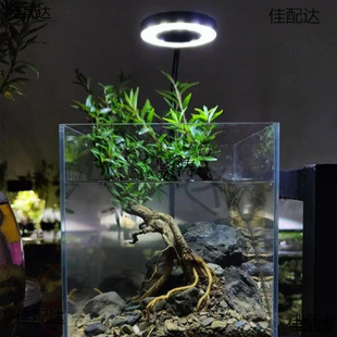 ��ˮ��÷�c�Yԭ���ļ�ˮ���Ϙ������~���쾰�Gֲԭˮꑸ�ˮ��ֲ��