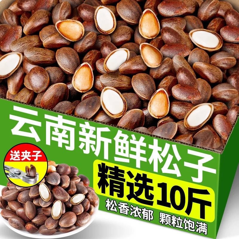 斤云南新鲜松子大颗粒落水手剥原味高山黑松子孕妇坚果零食