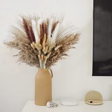 ���ϸɻ�������έ«έװ����β�ɻ���έ������è��«έ��