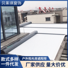 阳台防风防雨卷帘室外电动隔热户外阳光房遮阳帘酒店家用智能窗帘