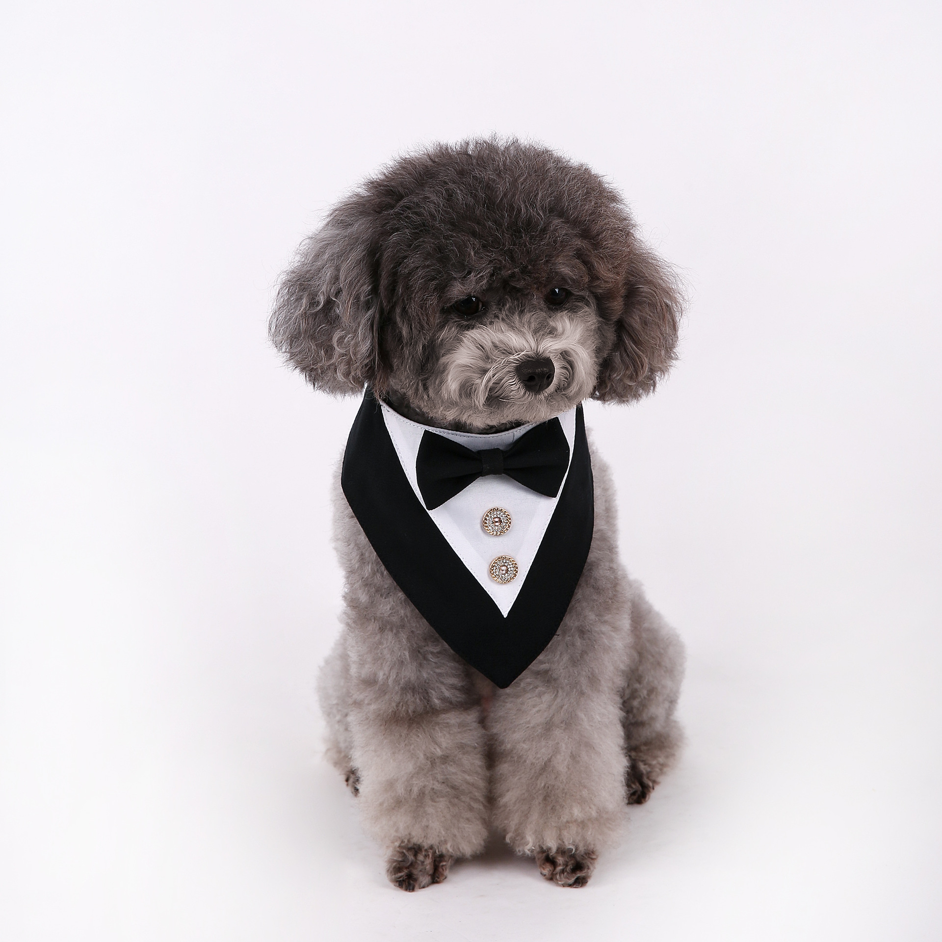 Navidad Año Nuevo Spot transfronterizo boda británica trajes toallas para mascotas bufandas perros velcro toallas para mascotas triángulos