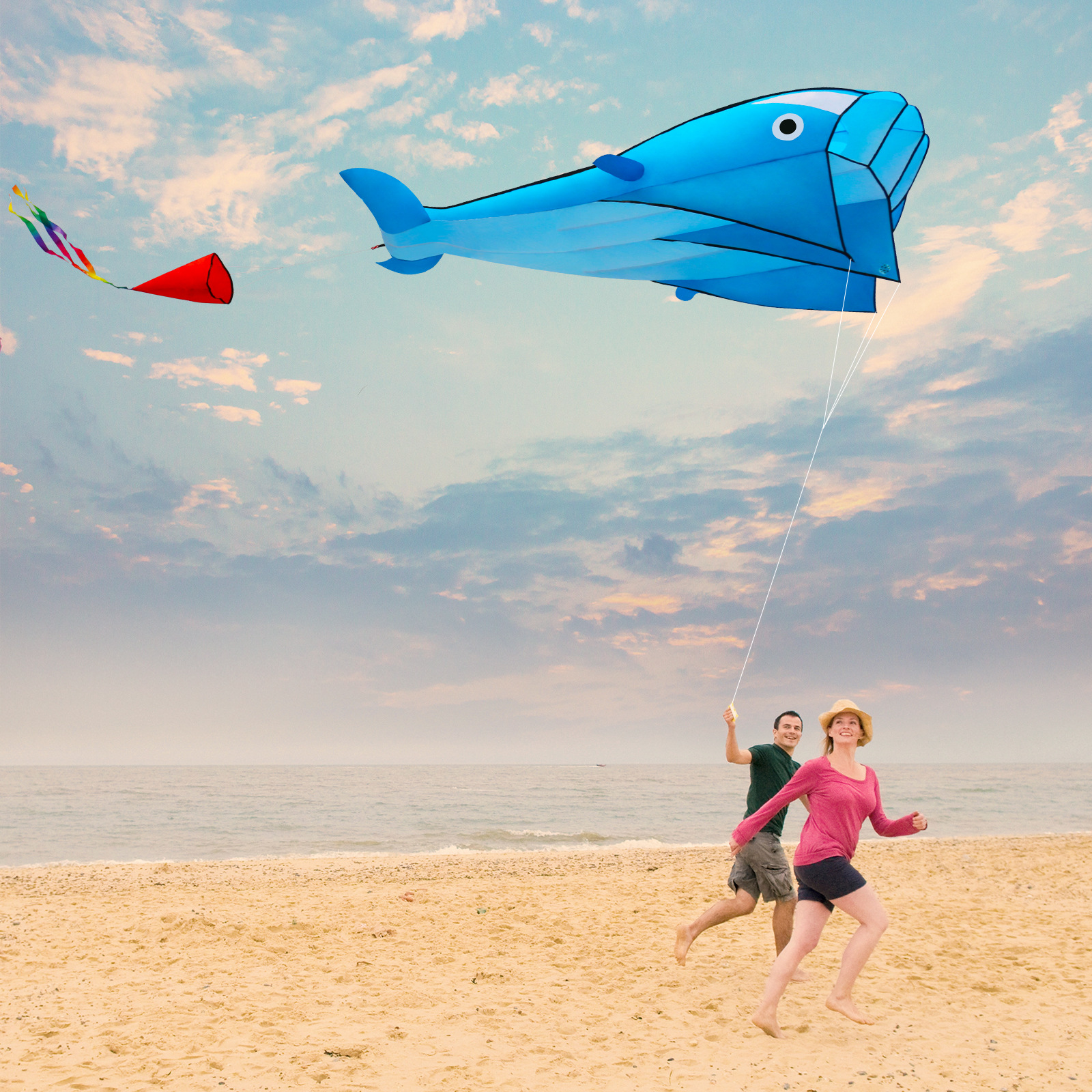 蓝海豚+橙斑章鱼6