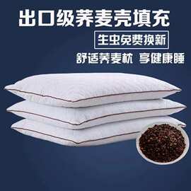 宗品纯棉荞麦枕头成人护颈枕荞麦壳填充单人简约长方形荞麦枕