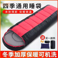 Handheld universal travel sleeping bag for adults for double