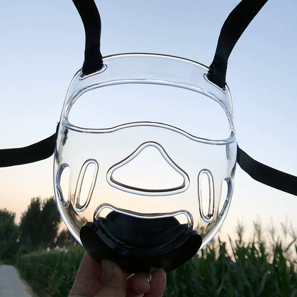 Head Protection Mask with Detachable Face Shield, Face Guard, Taekwondo Face Shield, Transparent Helmet Mask, Karate