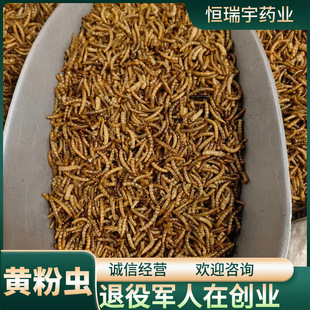 ���|�S���x���w �^�p�~�B}����� ����ă�  ����܊���ڄ��I