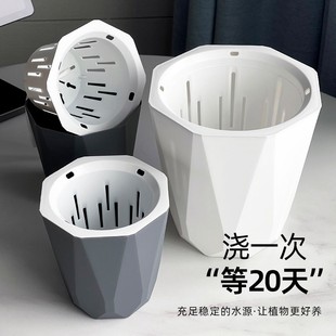 Lazy Automatic Water-Absorbing Flower Pot for Green Radish, Special Succulent Water-Absorbing Flower Pot, Plastic Indoor Household Creative Automatic Flower Pot