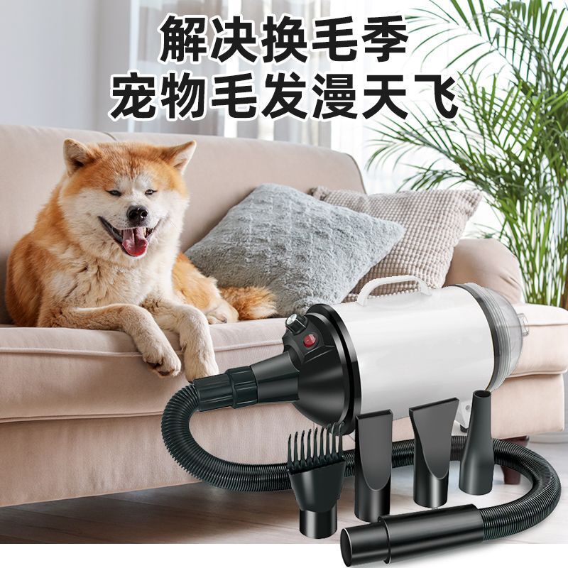 狗狗吹风机中大型犬宠物美容台吹水机速干器大功率吹毛拉毛一体机