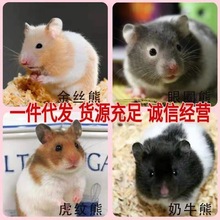 �}����w��z���Lë�������ܼ��y������������y��������l��